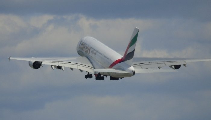 Penerbangan Emirates Tabrak Kawanan Flamingo Saat Mendarat di Mumbai