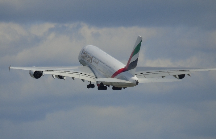 Penerbangan Emirates menabrak kawanan burung flamingo