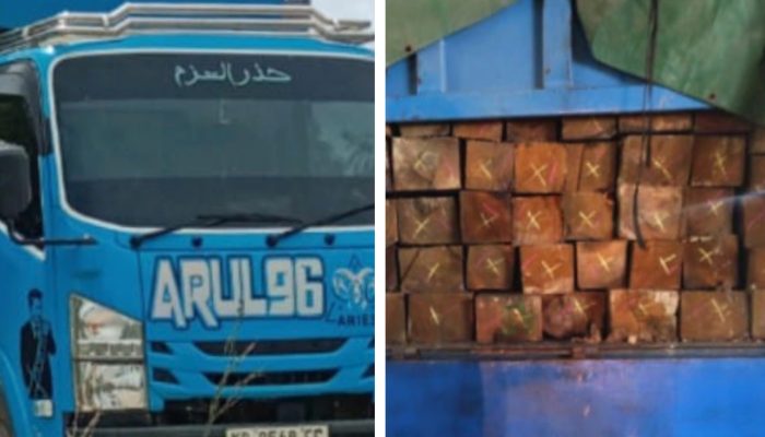 Truk Bermuatan Kayu Olahan dari Kapuas Hulu Diduga Gunakan Dokumen Palsu, Gakkum KLHK dan Polda Kalbar diminta Bertindak
