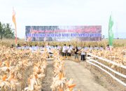 Komisi IV DPR-RI Gelar Panen Raya Jagung di Aceh Tenggara 
