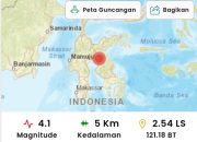 Gempa Bumi Berkekuatan Magnitudo 4.1 Guncang Luwu Timur Tidak Ada Laporan Kerusakan