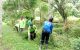 DLH Sekadau tingkatkan penataan RTH dan Taman Kehati dengan konsep hutan kota