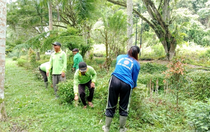 DLH Sekadau tingkatkan penataan RTH dan Taman Kehati dengan konsep hutan kota