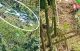 Aktivitas PETI di Bukit Rengas merusak hutan lindung dan mencemari air
