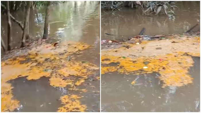Warga Desa Gonis Tekam, Sekadau, mengeluhkan dugaan pencemaran Sungai Kijang oleh PT MPL