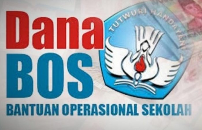 Diduga Oknum Kepsek Mis Kutacane Gelapkan Dana BOS
