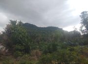 Keindahan Alam dan Upaya Konservasi Bukit Belar di Bengkuang, Sintang