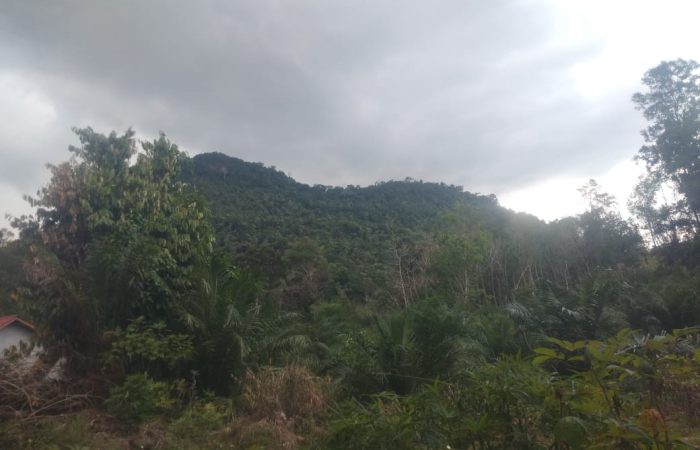Keindahan Alam dan Upaya Konservasi Bukit Belar di Bengkuang, Sintang