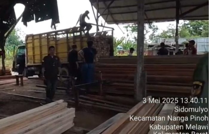Tim Unit Subdit IV Ditreskrimsus Polda Kalbar Bongkar Peredaran Kayu Ilegal di Melawi