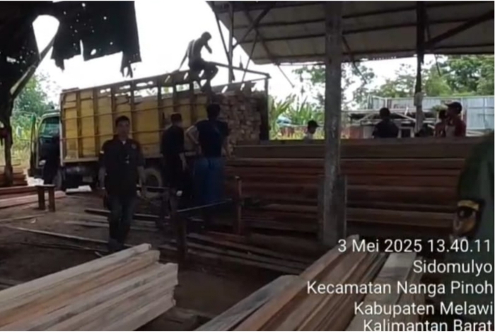 Tim Subdirektorat 4 Krimsus Polda Kalbar berhasil bongkar peredaran kayu ilegal di Kabupaten Melawi