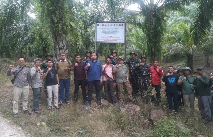Satgas PKH Di Apresiasi Segel Ribuan Lahan Sawit di Aceh Tenggara dan Lahan Pemukiman Gayo Lues