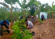 Anggota Satgas TMMD Reguler Ke 125 Mulai Kerjakan Pipanisasi Manunggal Air Bersih Desa Rikit Bur