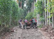 TMMD Ke 125 Kodim 0108 Agara Bantu Petani Angkut Hasil Pertanian