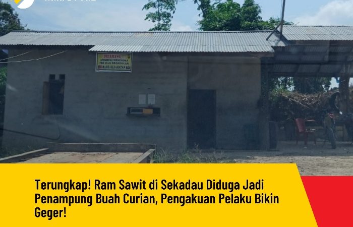 Terungkap! Ram Sawit di Sekadau Diduga Jadi Penampung Buah Curian, Pengakuan Pelaku Bikin Geger!
