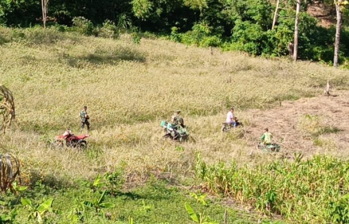 Satgas TMMD Kodim 0108 Agara Gelar Penanaman Bibit Pohon di Perkebunan Warga Desa Rikit Bur II