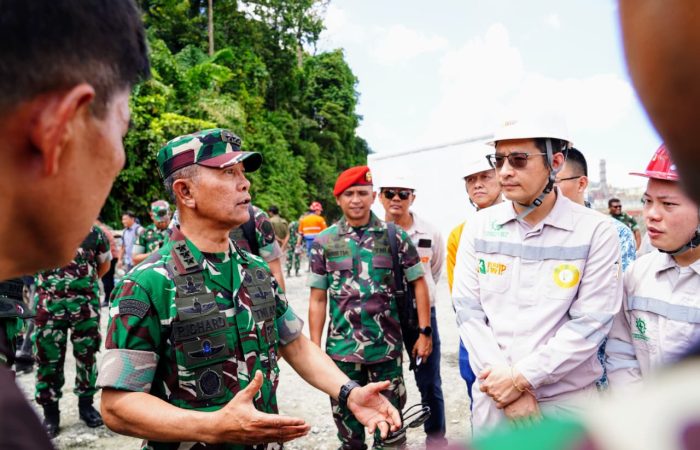 TNI Tegas Tertibkan Tambang Ilegal: Dua Perusahaan Kena Sanksi, Hutan Dikembalikan ke Negara