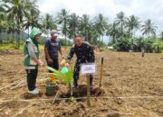Dukung Program Hilirisasi Perkebunan, Dandim 1310/Bitung Ikut Tanam Kelapa di Minahasa Utara