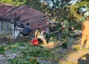 Dandim 1310/Bitung Berikan Apresiasi Respon Cepat Babinsa Koramil 1310-04/Dimembe Bersama Warga Evakuasi Pohon Tumbang Di Desa Kolongan