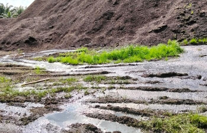 Limbah Diduga Cemari Lingkungan, Warga Sekadau Soroti Aktivitas PT TBSM