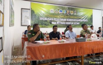 BKSDA Kalbar gelar sosialisasi di Sintang. Edukasi pelestarian satwa