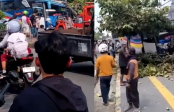 Kecelakaan Bus vs Truk Boks di Madiun, Sopir Terjepit Dievakuasi 1 Jam Usai Tabrakan Keras