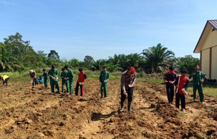 Pelajar SMK Sekadau Tanam Jagung di Demplot, Edukasi Ketahanan Pangan Sejak Dini