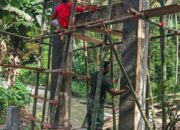 Percepat Pembangunan Jembatan Gantung Perintis Garuda, Babinsa Bantu Pengerjaan Jembatan